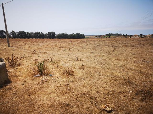 Terrain agricole à sidi smail région el jadida