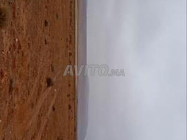 Terrain agricole à vendre à Guelmim