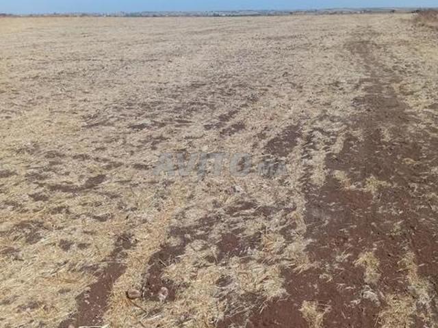Terrain agricole à vendre à Ouled Frej El Jadida
