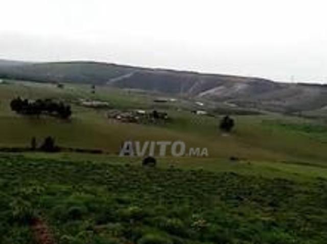 Terrain agricole à vendre à un prix raisonnable