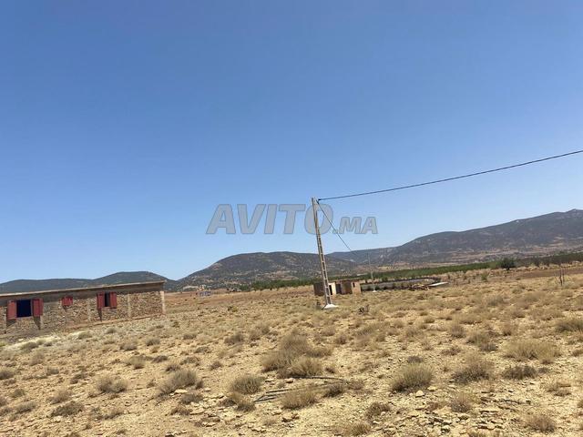 Terrain agricole à vendre Béni Mellal Tizi Nsli