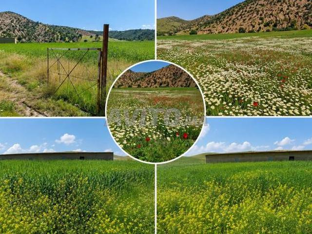 Terrain agricole à vendre dans un emplacement privilégié près de Sidi Bettach