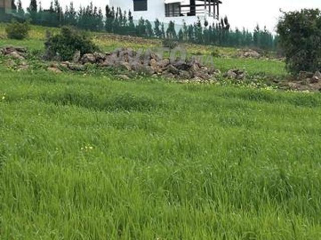 Terrain agricole à vendre de 4110 m2 titré