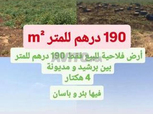 Terrain agricole à vendre entre Berrechid et Deroua 190 Dh