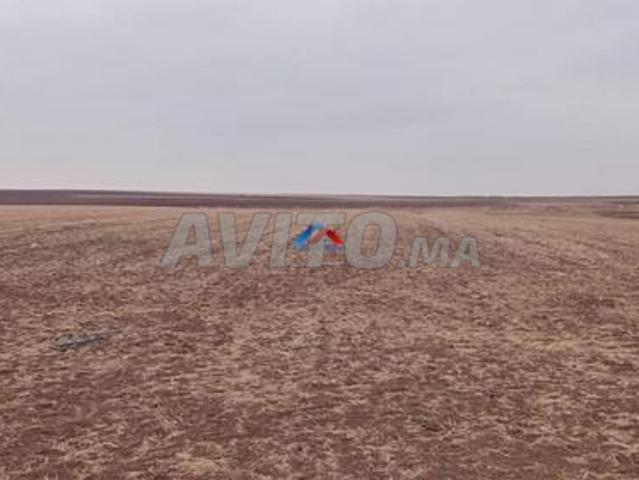 Terrain agricole à vendre Hed el brachoua