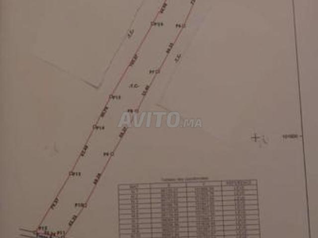 Terrain agricole a vendre idaougard essaouira