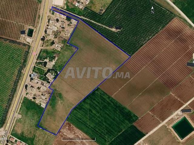 Terrain agricole à vendre région Beni Mellal Tadla
