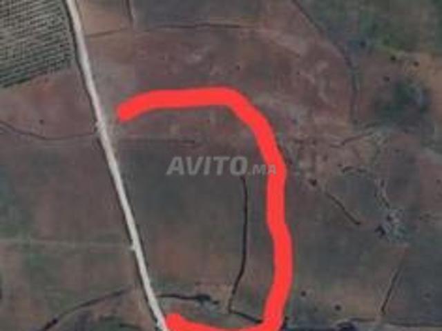 Terrain agricole à vendre, superficie un hectare et demi, titré