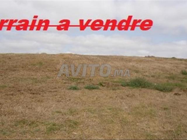 Terrain agricole à vendre. Titre