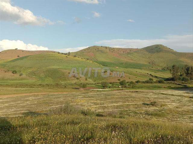 Terrain agricole à vendre 13 hectares