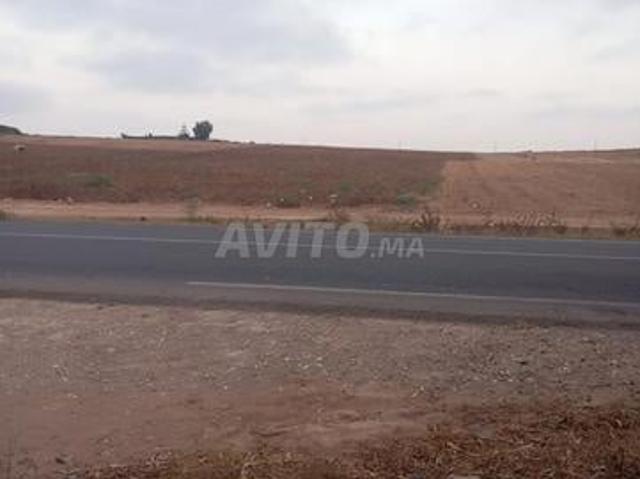 Terrain agricole à vendre 1 hectare sur la route