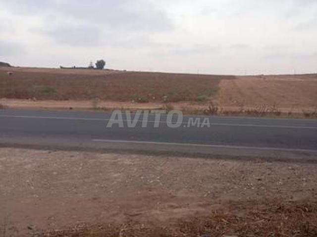 Terrain agricole à vendre 1 hectare sur la route