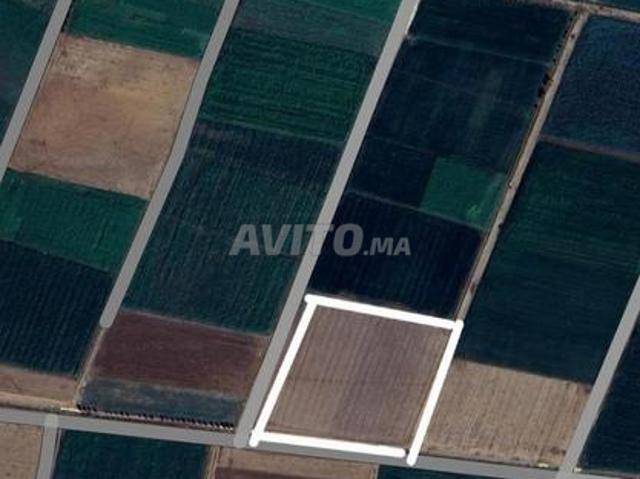 Terrain agricole à vendre