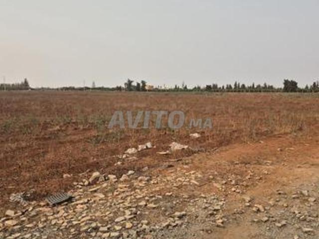 Terrain agricole à vendre