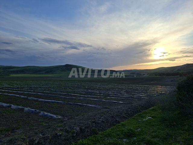 Terrain agricole à vendre — 22 hectares
