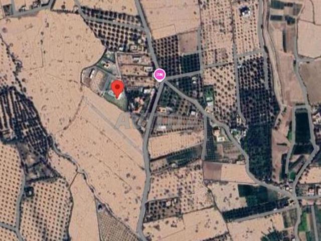 Terrain agricole à vendre 2 hectares opportunité d'investissement