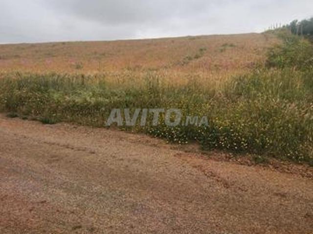 Terrain agricole à vendre