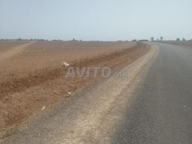 Terrain agricole à vendre