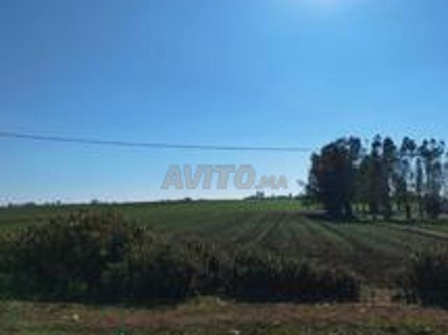 Terrain agricole à vendre