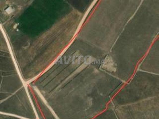 Terrain agricole à vendre – 5 hectares