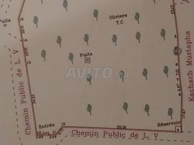 Terrain agricole à vendre