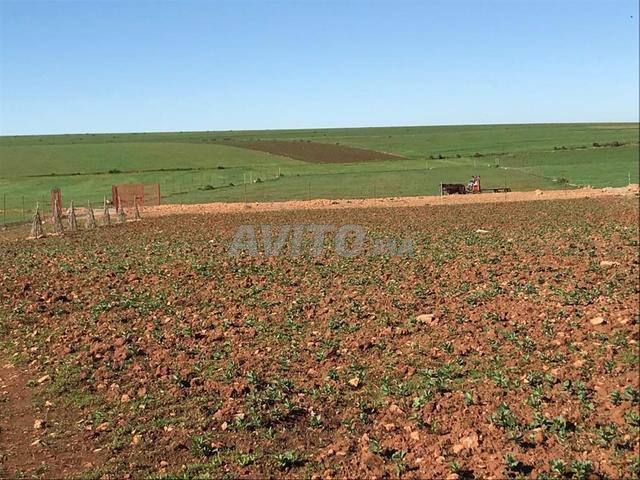 Terrain agricole à vendre