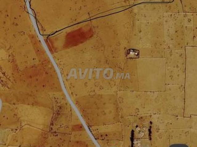 Terrain agricole à vendre