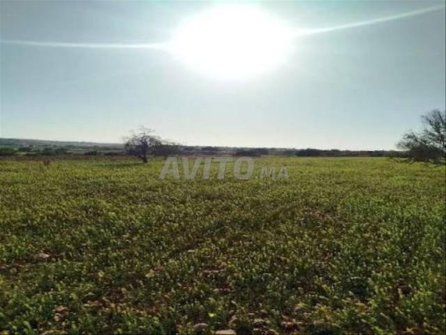 Terrain Agricole Bon Emplacement 500 MAD / m²