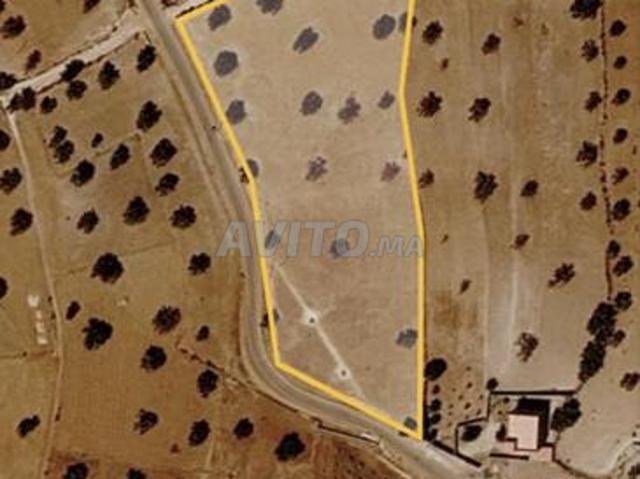Terrain agricole constructible