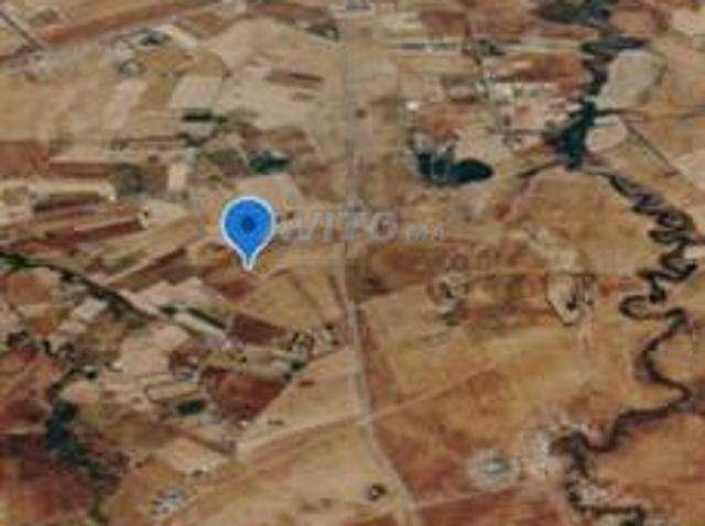 Terrain agricole d'un hectare à vendre à Bouznika