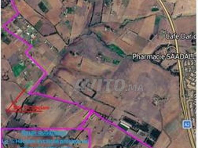 Terrain agricole d'une superficie d'un demi hectare