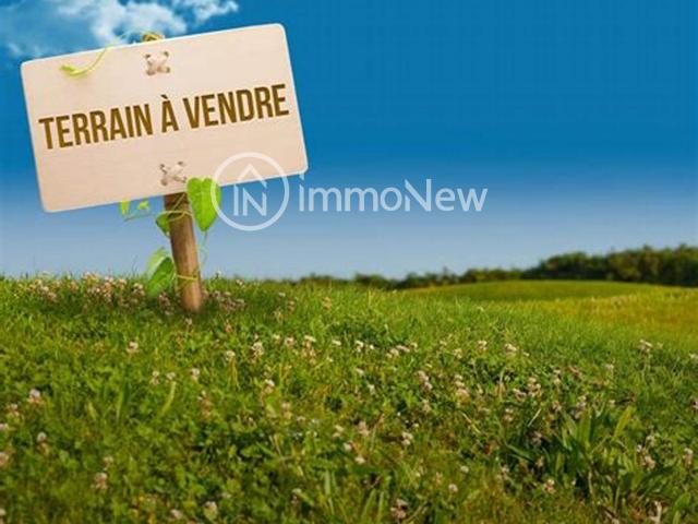 TERRAIN AGRICOLE DE 17660m2 LIBRE DE TOUTE OCCUPATION FACILE D ACCES