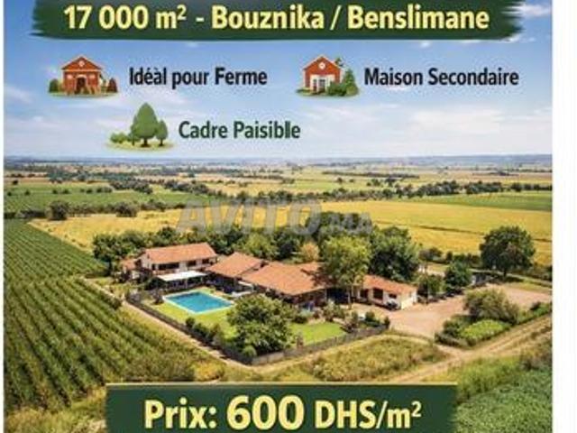 Terrain agricole de 17 000 m² à vendre Bouznika