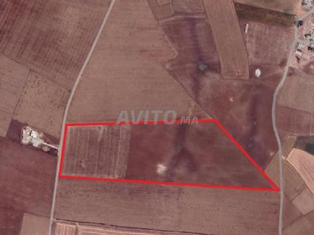 Terrain agricole de 10 hectares à Bouskoura