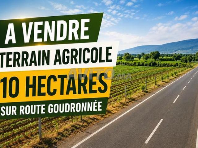 Terrain Agricole de 10H sur Route Goudronnée