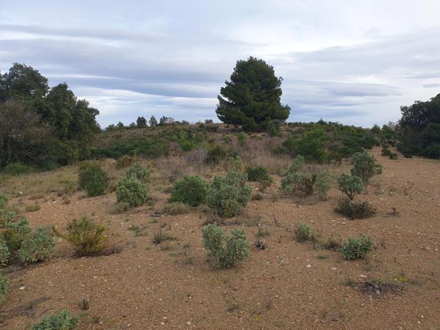 Terrain agricole de 1 hectare sur Torderes