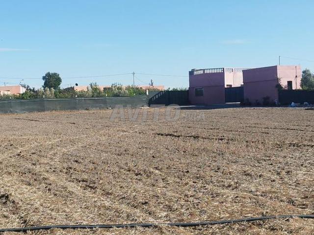 Terrain agricole de 2500m2