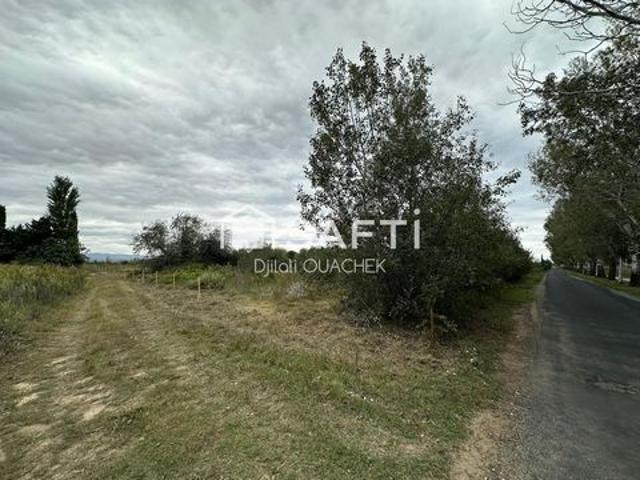Terrain agricole de 2000m² avec forage