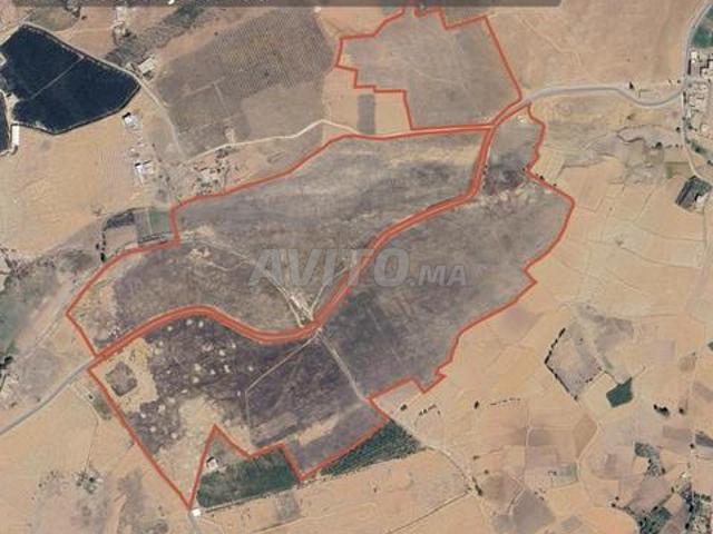 Terrain Agricole de 36H à Laanoussar, Sefrou