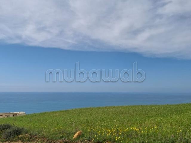 Terrain agricole de 317 Hectares pied dans l'eau