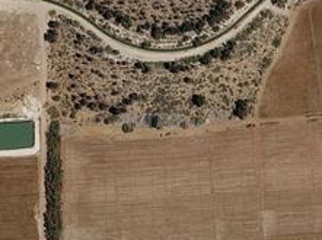 Terrain agricole de 3,5 ha à 5km de Saïdia