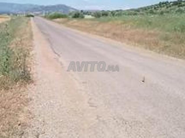 Terrain agricole de 3 hectares titré à vendre
