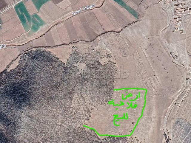 Terrain agricole de 4 hectares a TAGHZOUT a vendre
