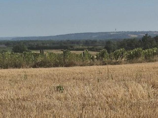 Terrain agricole de 4 hectares – Vue panoramique – Secteur Campsas / Fabas