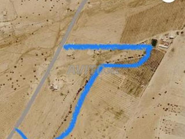 Terrain agricole de 8 hectares à vendre dans la province de Midelt
