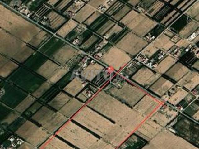 Terrain agricole distinctif à vendre à Bouarark – 15 hectares