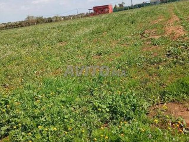 Terrain Agricole et Constructible de 8333 m² Titré