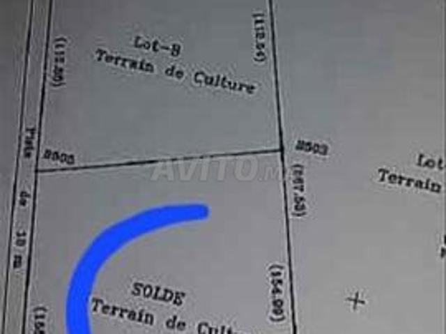 Terrain agricole et d'investissement dans les environs de la province d'Ain Allah