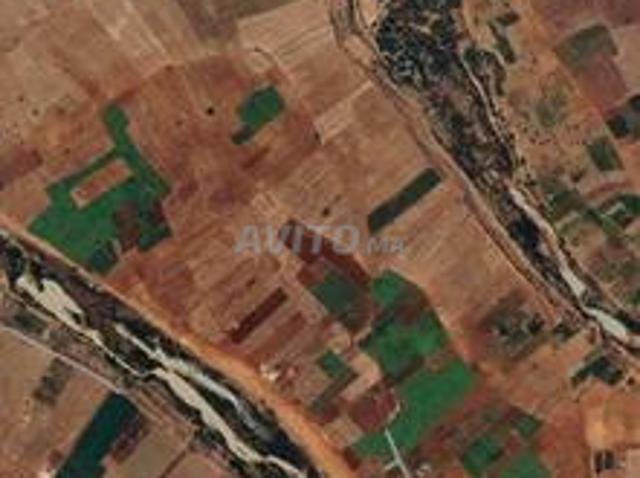 Terrain agricole et écotouristique 1,5 hectare