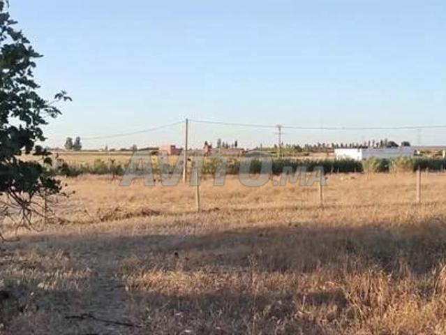 Terrain agricole enregistré, constructible et propice à l'investissement